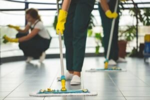 Cleanieup Cleaning Services